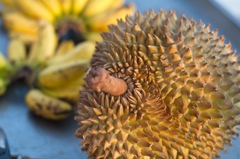  King of fruit ของโปรดชาวฮ่องกง  Thailand ม่ายเอา