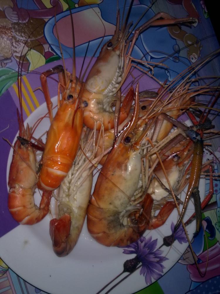  มาดูกุ้งกันบ้าง 
..เนื่องจาก อยากกิน แต่ไม่มีตังซื้อ....