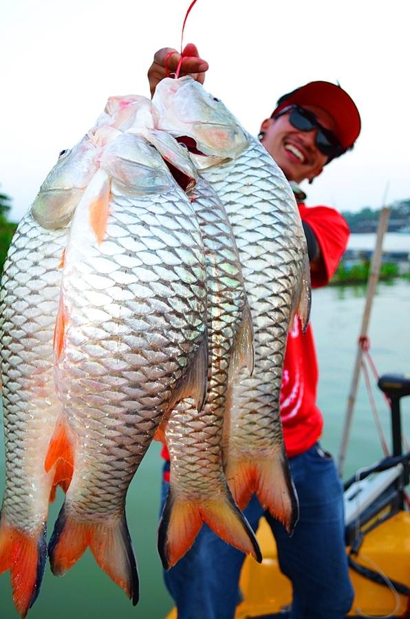 .......... ซิ่งเรือไป!!จัดหนัก " กระสูบใหญ่ Chaophaya River " ครึ่งวันมันส์สฝุดๆ