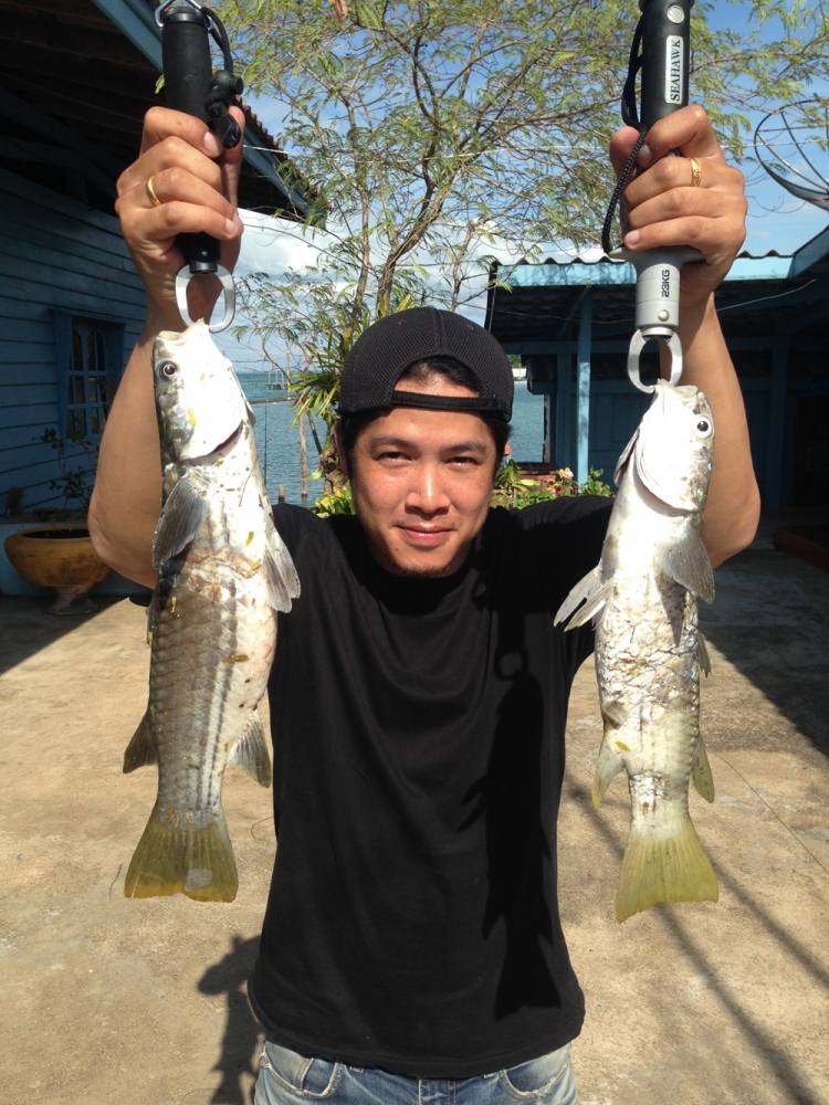 แต่ไซด์ไม่ธรรมดาเลยครับขอบอก  มีโลกว่า