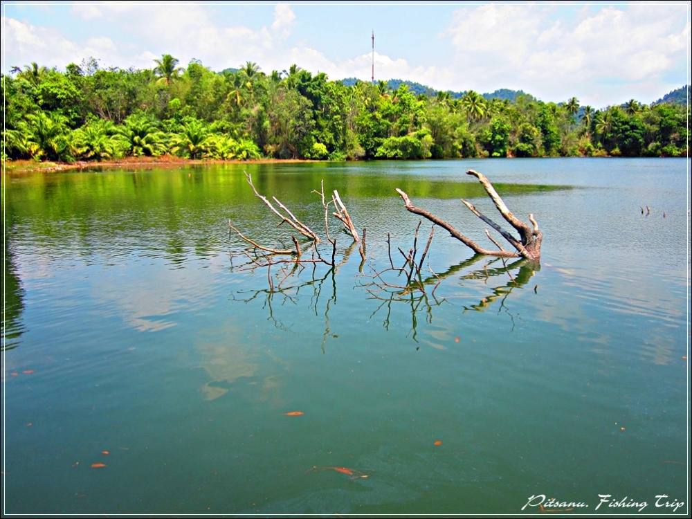 
 [center]เดินอ้อมมาอีกด้านนึง ของขุมเหมือง [/center]

