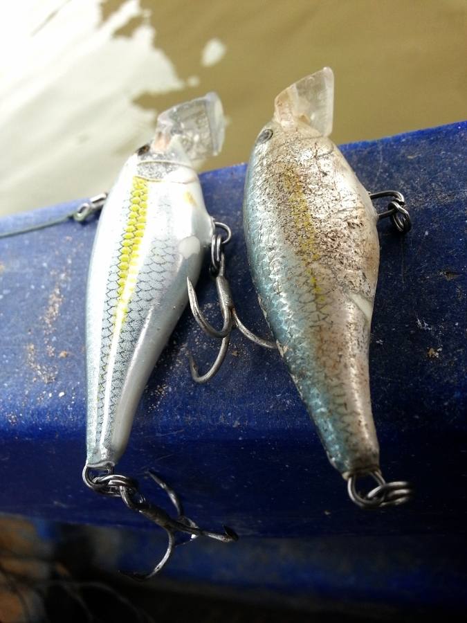 

  [center][b]แม่น้ำต้องตัวนี้เลย Rapala Shad Rap (ALB)[/b][/center]

 [center] [b]ตัวขวาต้องปล