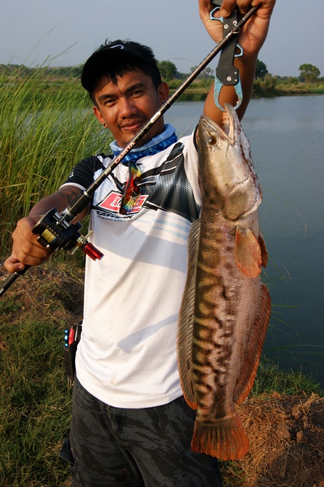 ตัวที่2ครับ  :love: :love: :love: :love: