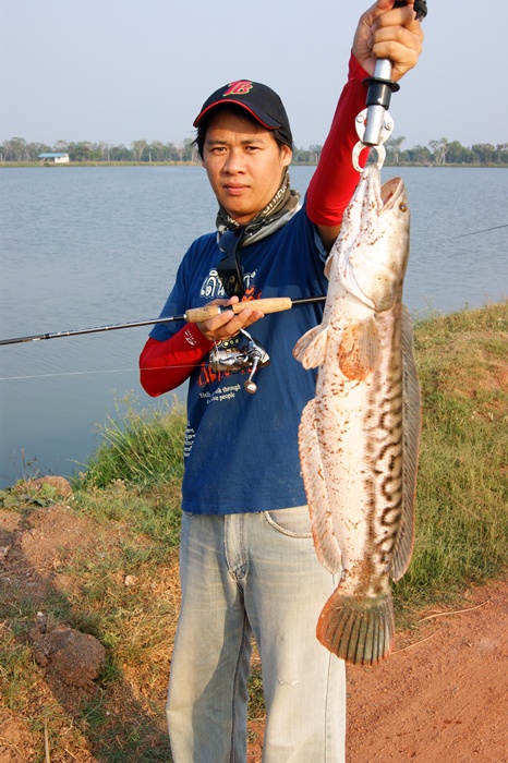 ส่วนพี่อัศ ก็มาได้เพิ่มจากจุดนี้เหมือนกัน  :cool: :cool: :cool: :cool: