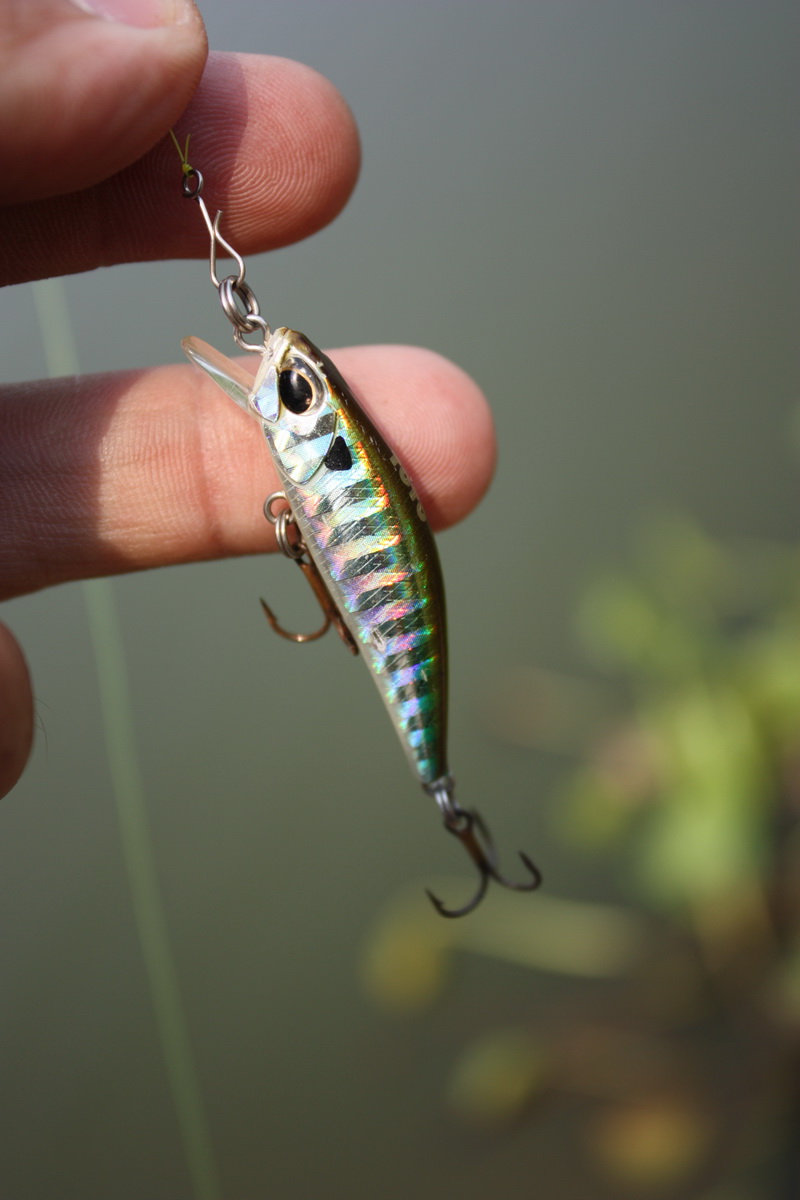 

         LC 48sp  MS American Shad  คงมะเหมาะ  กะบริบทนี้   


สะดุดตา กะเจ้า ToTo 42  Jack  