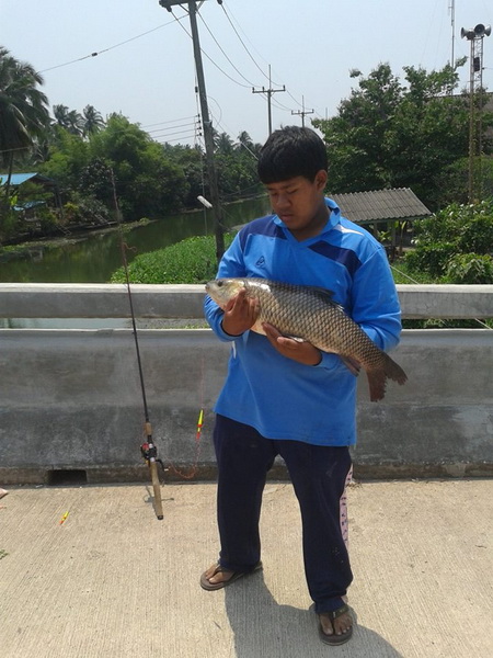 เอ๊ามาถ่ายต่อ .. :laughing:

*********************************
แหม..ถ้ามันกินตะกร้อหน้าดินจะไม่สง