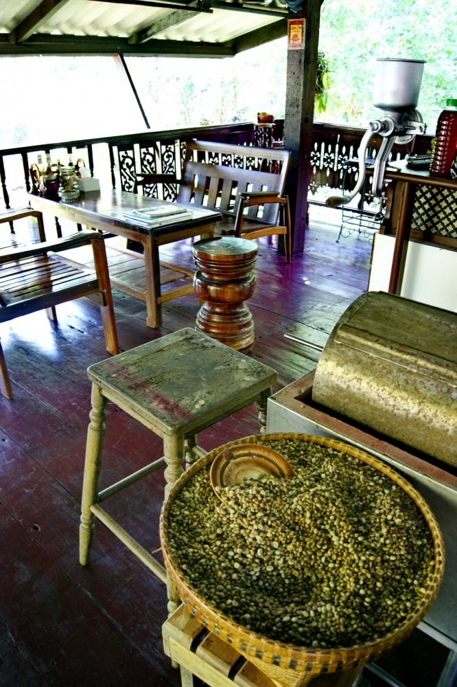  [b]เมล็ดกาแฟ จาก ไร่หลังร้านนี้เอง ครับ[/b] :umh: :umh: :umh: :umh: :umh: :umh:
