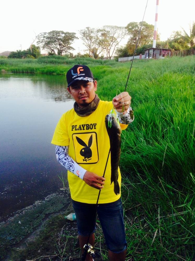                                                                  Spinner Bait Quiet Storm By LF Lure