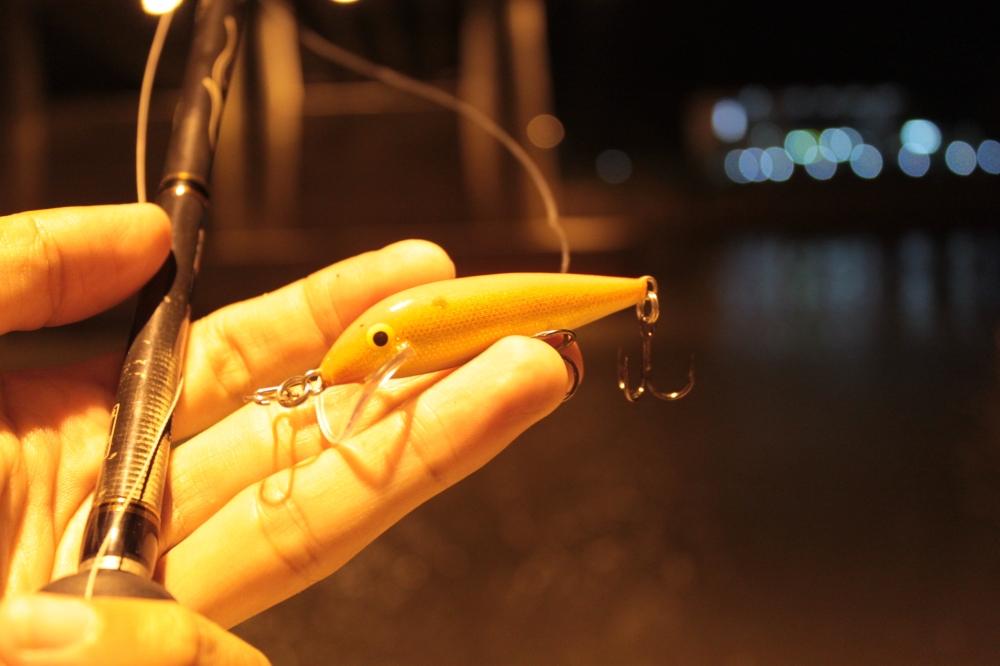 RAPALA CD 7 ................เที่ยวดึกจัง......แสงสีนี้ดูเหยื่อ คลาสสิกดีแท้...ครับ :cheer: :cheer: :