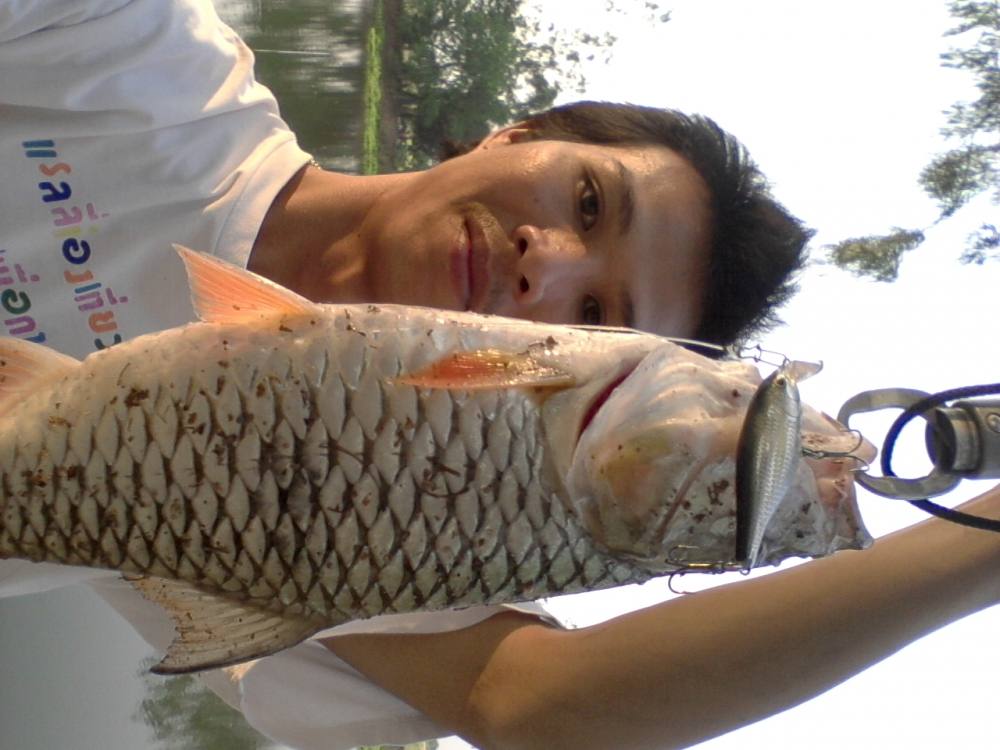 กระสูบอ่างเก็บน้ำแถวบ้าน