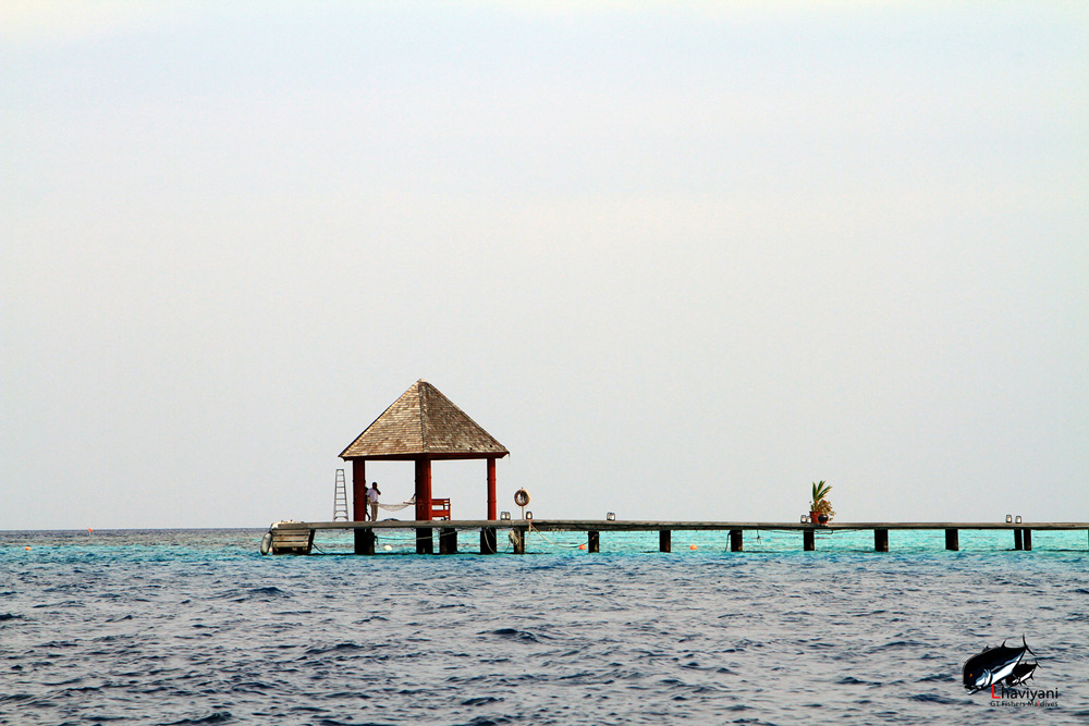 

 Maldives 

 มันไม่ได้ไกลเกินเอื้อมหรอกกนะครับ

 ผมว่า ถ้าคนมีใจรักจริง  และ พยายาม มันต้องไ