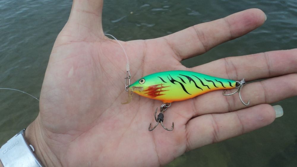  :rose: :rose: :rose: :rose: :rose: ตัวเก่งครับตัวนี้ Rapala SHAD RAP SSR 7 CM

 :heart: :heart: :