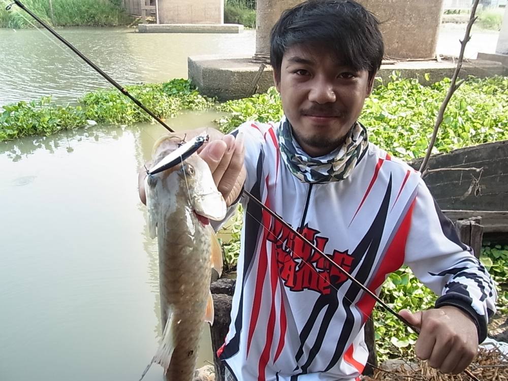  :laughing:ตัวนี้กัดshirasu minnow48ครับ :smile: :smile: