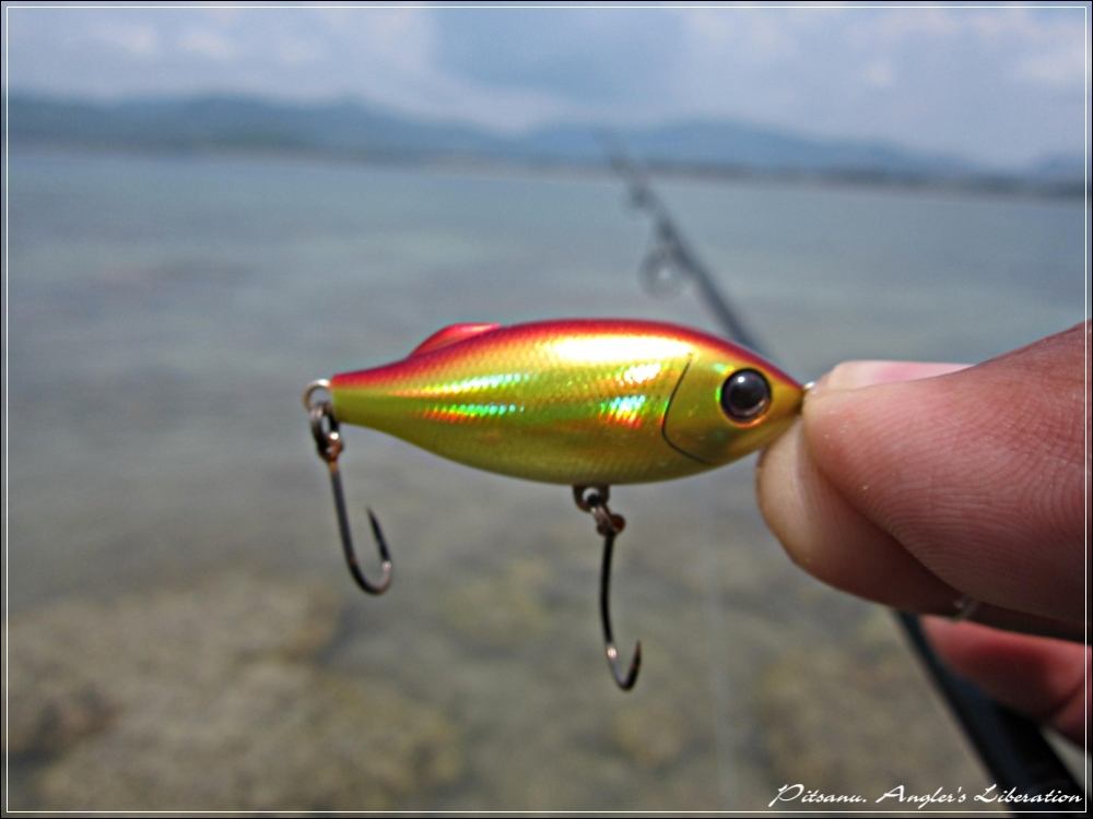 
 [center]เหยื่อตัวแรกที่เลือกใช้  

[b]Lure : Tackle House - SHORES Sinking Pool Shad 41mm 4g[/b