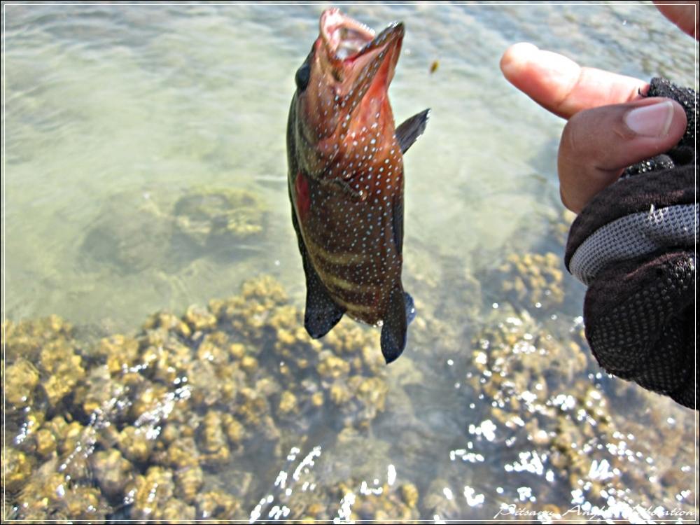 
 [center]ปล่อยตามเดิม
ความรู้สึกดี ๆ กับ Catch & Release[/center]

