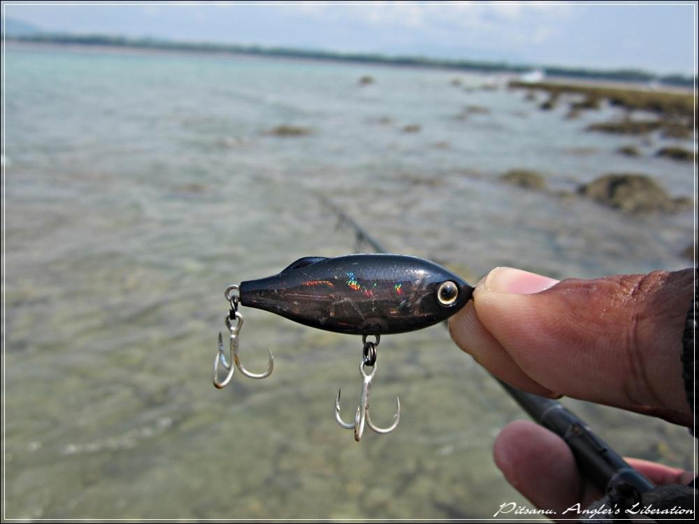 
 [center]เปลี่ยนมาเป็น 

Tackle House - SHORES Sinking Pool Shad 41mm 4g........สีดำเหลือบ[/cent