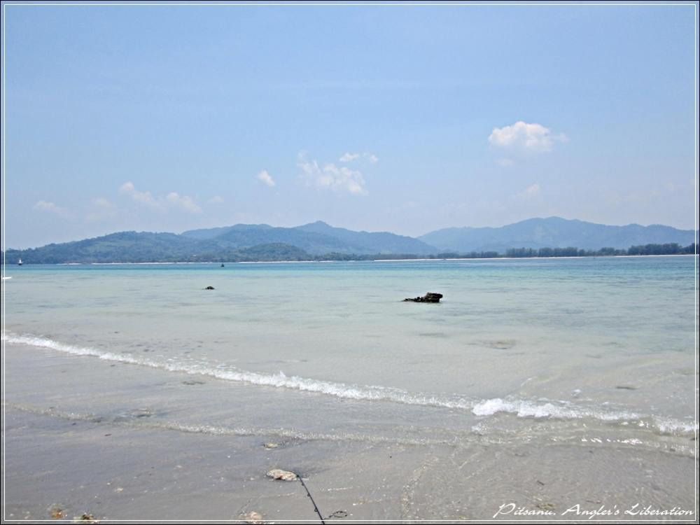 
 [center] ถ่ายไปเรื่อยเปื่อย [/center]

