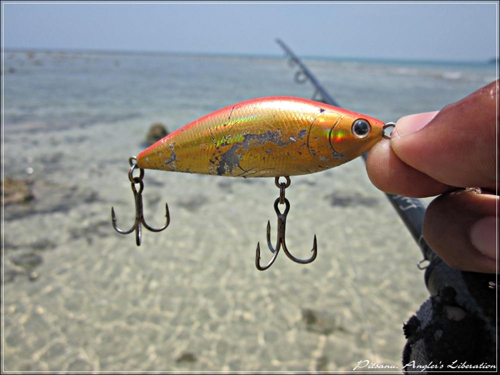 
 [center]เหยื่อตัวนี้ 13 g เป็น SINKING SHAD 70 mm เช่นกัน[/center]

