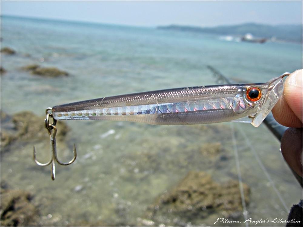 
 [center]เปลี่ยนเหยื่อมาเป็นตัวนี้ดูหน่อย 

[b]Lure : Tackle House intermidiate Minnow int 80 mm