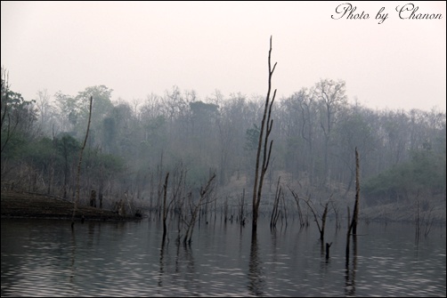 สวยจนต้องเก็บภาพจริง จริง ครับ :grin: