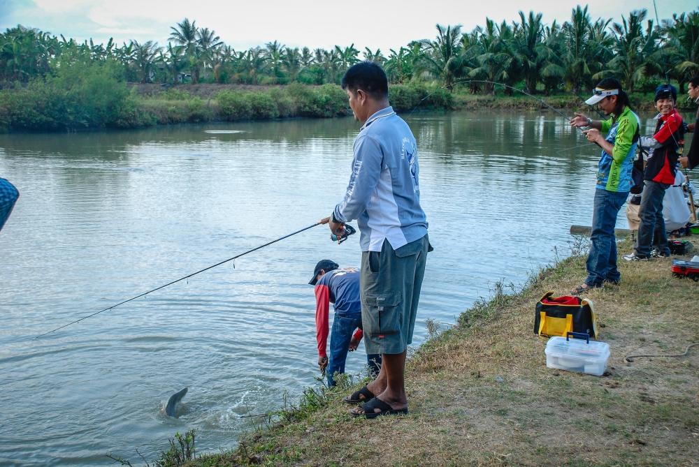 พอเปิดบ่อเข้ามา ก็จัดขึ้นมาโชว์เลย จากน้าก้อย ทีม Black Marlin สงขลา