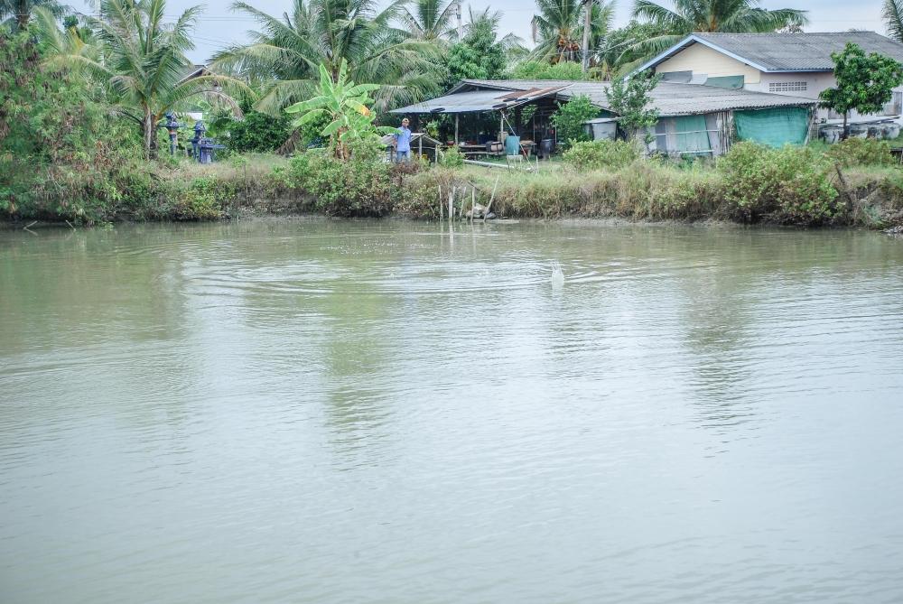 ขณะกำลังเก็บภาพของน้องหนึ่ง ตูมปริศนาจากด้านหลัง มาดูกันว่าของใคร  :smile: