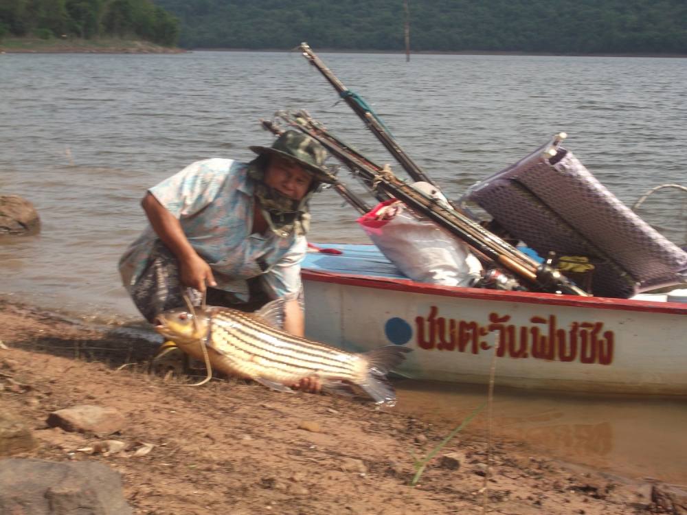 ยี่สกไทยหมายน้าชาติ หาดชมตะวัน  จ. โคราช