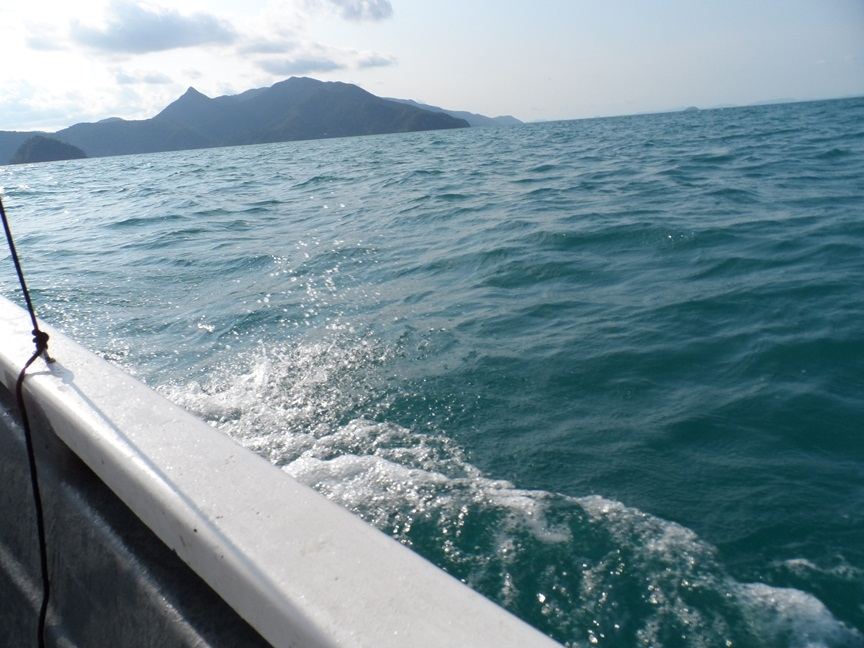 ขากลับลมแรง ใช้ได้เลย น้ำกระเซ็นเข้าเรือพอควร  :angry: :cheer: :cheer:
