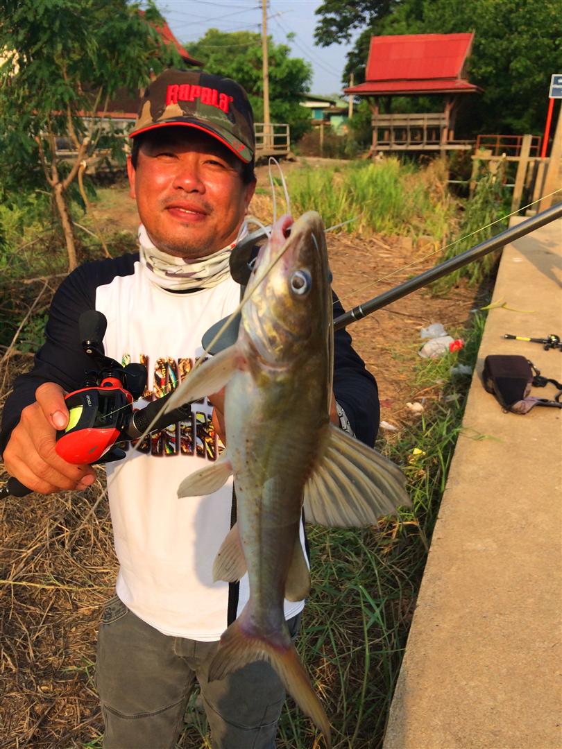 นักตกปลา-BANKLONGSEE

สถานที่-ปากคลองน้ำอ้อม แม่น้ำเจ้าพระยา จ.ปทุมธานี

ชนิดปลา-ปลากดเหลือง

