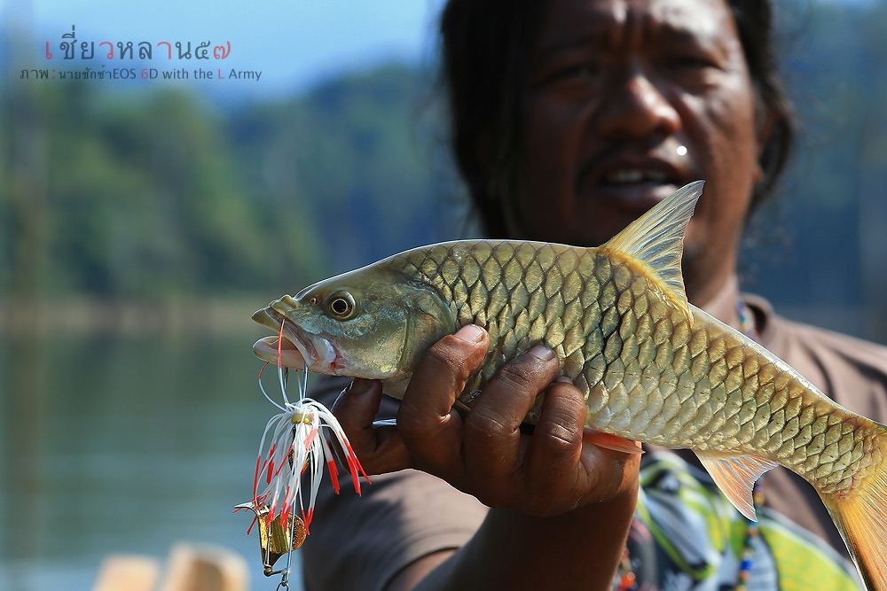 กระสูบข้างครอก  เป็นปลาตัวแรกของผมในวันนี้  ขนาดประมาณ 5-6 ขีด

เห็นจะได้ 2 วันที่ผ่านมาผมไม่ได้ถ่