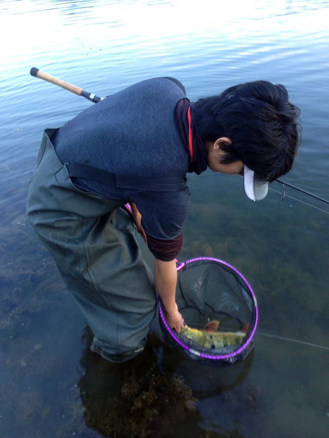  [center]เข้าสวิงเรียบร้อย

สวิงนักตกปลาต่างประเทศจะเรียก แลนด์ดิ้งเน็ต "Landing net" [/center]