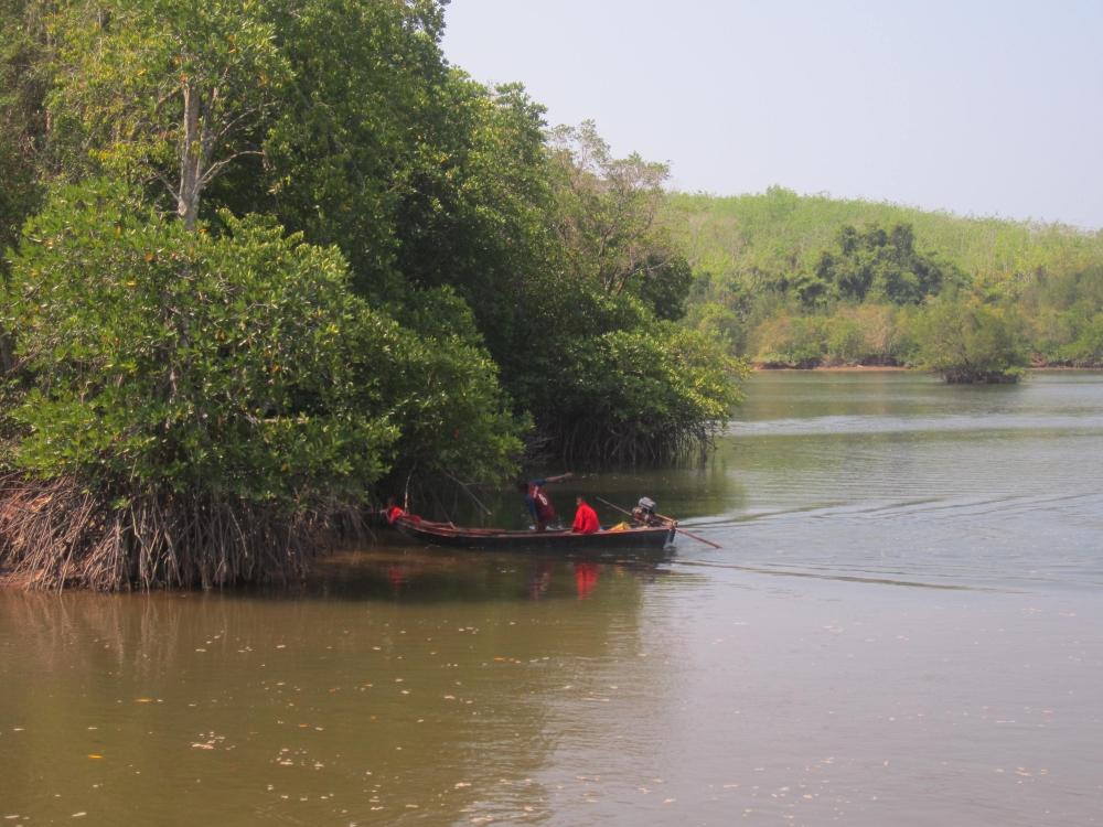 
 [center]อยู่ๆก็มีเรือชาวบ้าน ออกมาดักลอบ 
วิ่งเรือกวนปลาแถวๆที่พวกผมยืนตีกัน จนไม่มีปลาอะไรมาแตะ