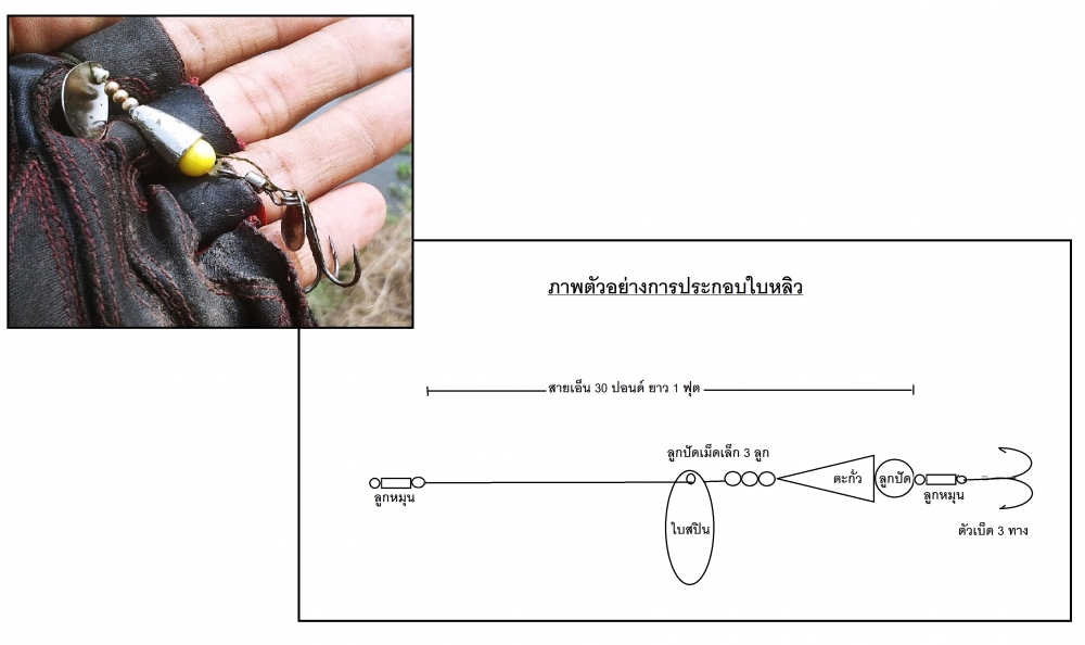 




 [b]นี่งัยครับ.....
                   อุปกรณ์ที่น้าหลายๆท่านมีติดกล่อง กับเศษๆอุปกรณ์ ถอ