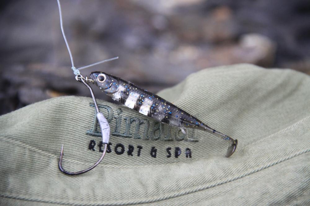  :grin: :grin: :grin: กัดหลุดหลายครั้งมาก จนปลายาง fish arrow ของผมหางเกือบขาด ใส้แตกอีต่างหาก :grin