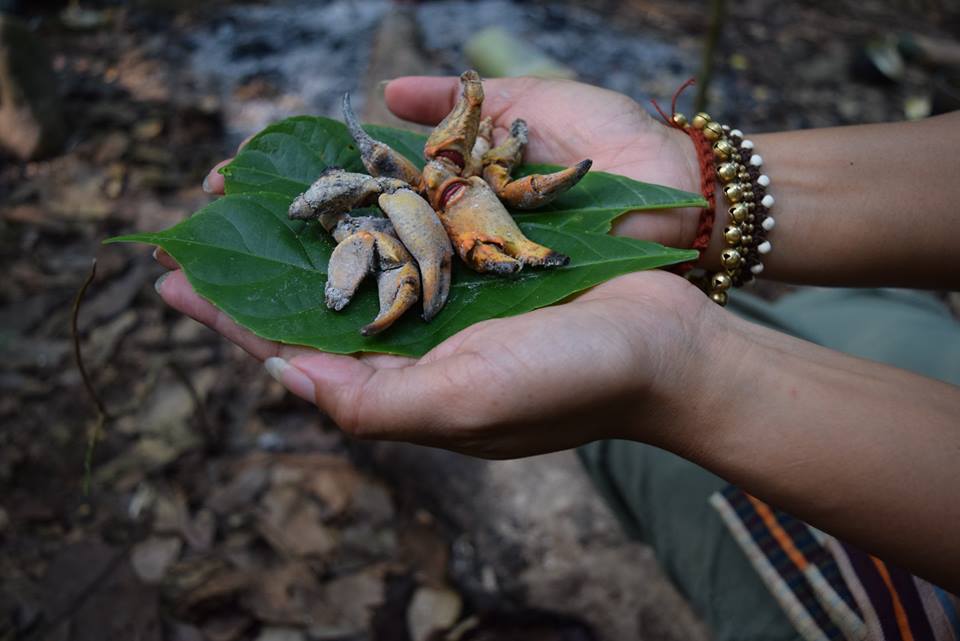 ปูห้วยเผา หน้าตาน่าโดนจริงๆ :umh: