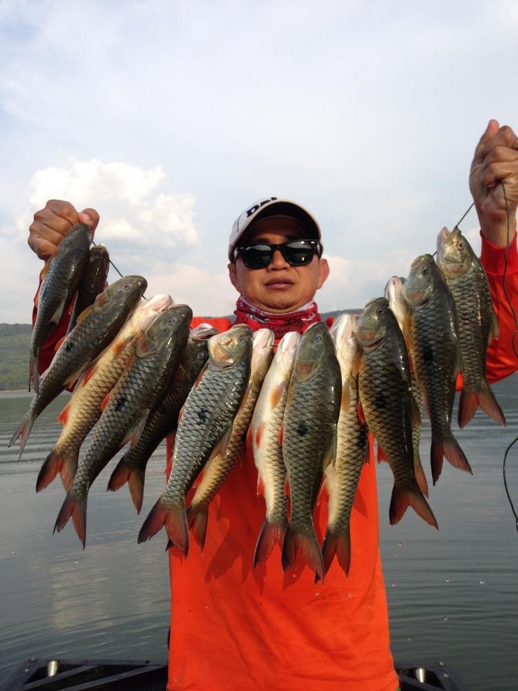 ขึ้น 5 โมงเย็น ผลงานรวมเรือกะมังผมครับ 15 ตัวครับ :cheer: :cheer: