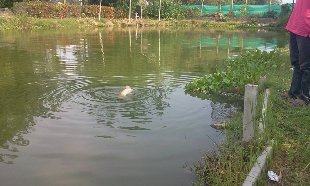 ไม่นานหลังจากเจอยี่สกน้อยกับนิลจา โดนอีกแล้ว แต่ให้อาร์มอัดแทน