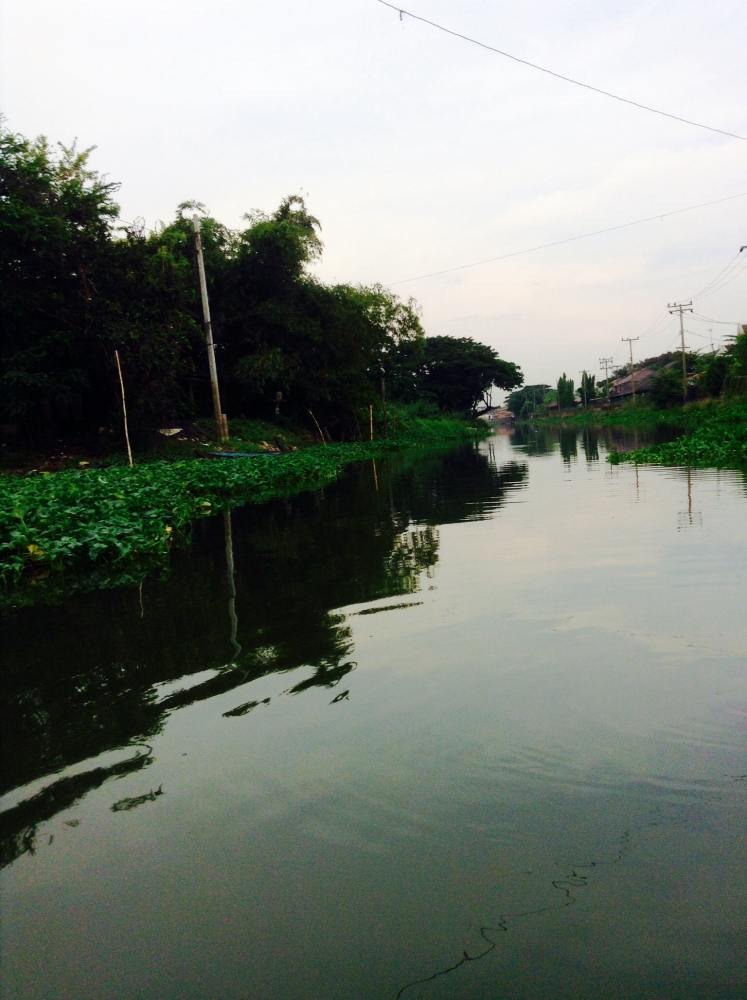 ****snakehead in Canal Bangbuathong by LF Luresfactory