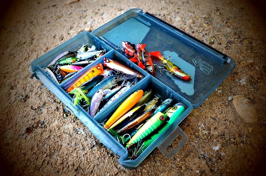 
 [center]

[b]LURE [/b]


ตกปลาแม่น้ำช่วงเวลาสั้น ๆ เหยื่อของผมก็พกมาแค่นี้คัฟกล่องเดียวตัวไห