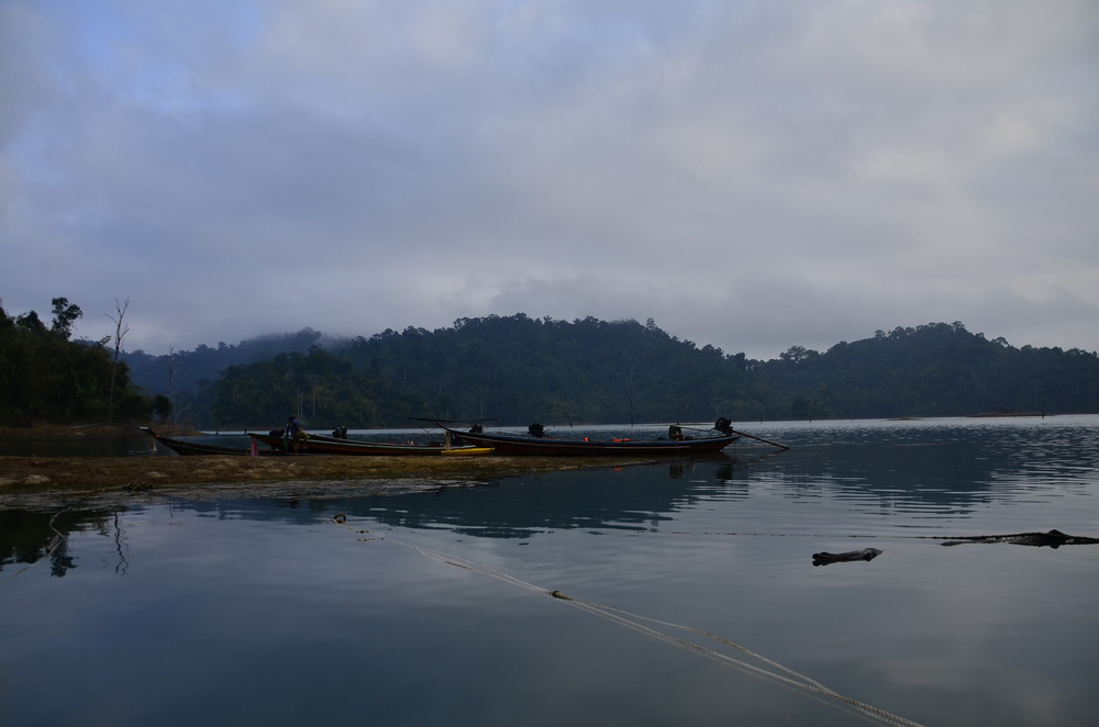 เช้านี้จริงๆแล้ว เป็นของวันที่สอง ของการมา ผมลงเรือกับไต๋หัส ครับ เรือลำเล็ก วันนี้เป้าหมายคือลำคลอง