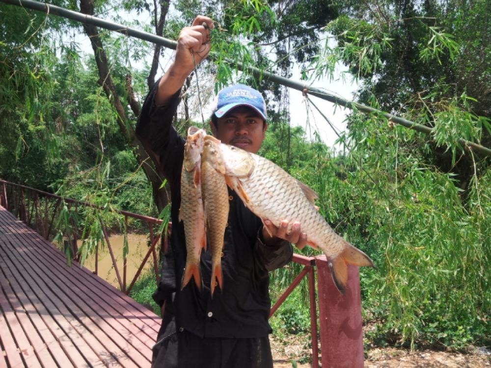 จานโชติปลายืม กร้ากกกกกกก
 :laughing: :laughing: :laughing: