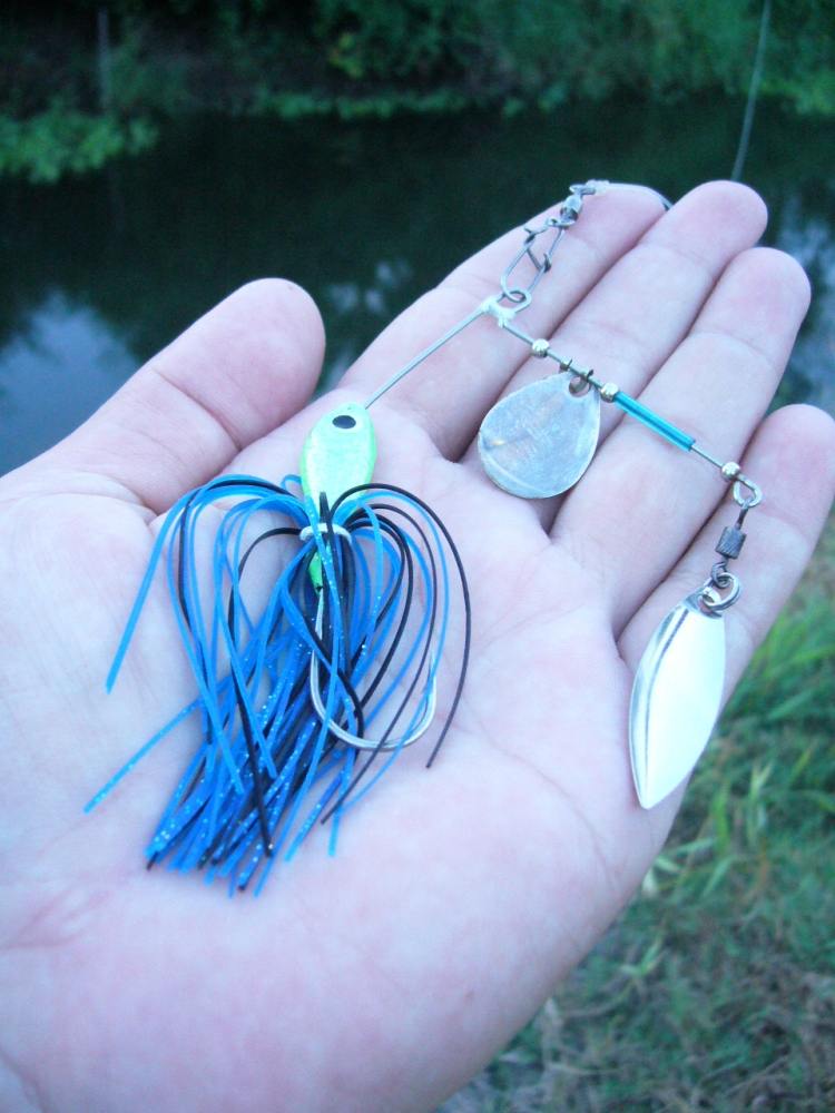 + ลอง SpinnerBait ดูครับ + 