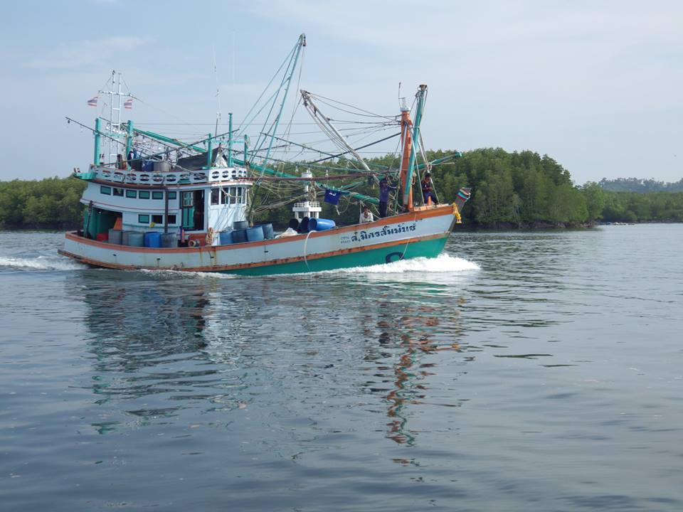 เริ่มเช้าเรือหาปลาน้ำลึก ก็ทะยอยเข้าฝั่งกันหลายลำ  เมื่อคืนไต๋บอกประมา 30 ลำ บางลำหนีคลื่นลมเข้าฝั่ง
