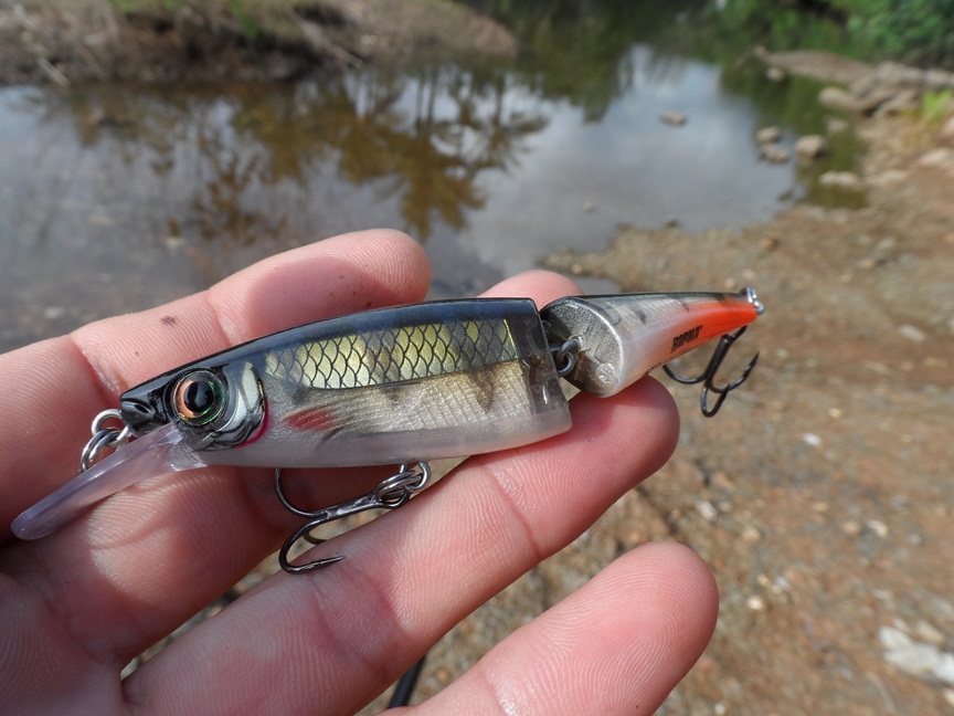 เลือกใช้เหยื่อ  bx jointed minnow ครับ วันนี้  :smile: