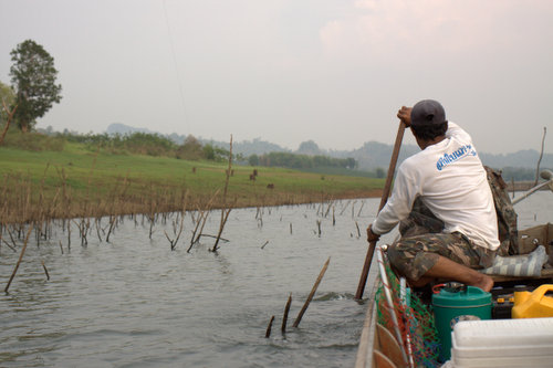 เดือดร้อนไต๋ พายเรือไปแกะกบบนกิ่งไม้