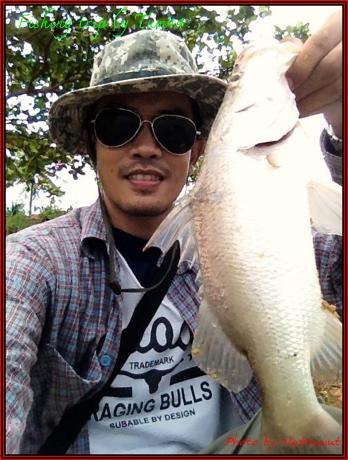 

 :cool: :cool: :cool:                                   ตอนดึงปลาขึ้นมาจากน้ำ..ใช้คันยกน่ะครับ..