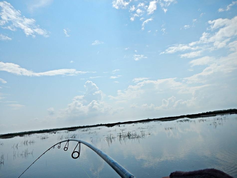 
 [center]เลาะตามร่องเรือวิ่งไปเรื่อยๆ ก็เจอตัวอยู่เรื่อยๆเช่นกันครับ[/center]

