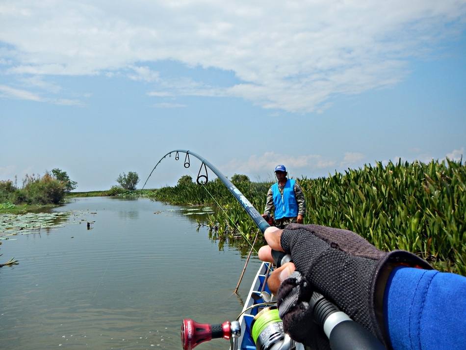 
 [center]แต่ผมก็ยังคาดหวัง กับชะโดอยู่ครับ เลยเอา RAPALA POP 9 มาหวดยัดข้างๆชายหญ้า 
แล้วป๊อบๆๆ อ