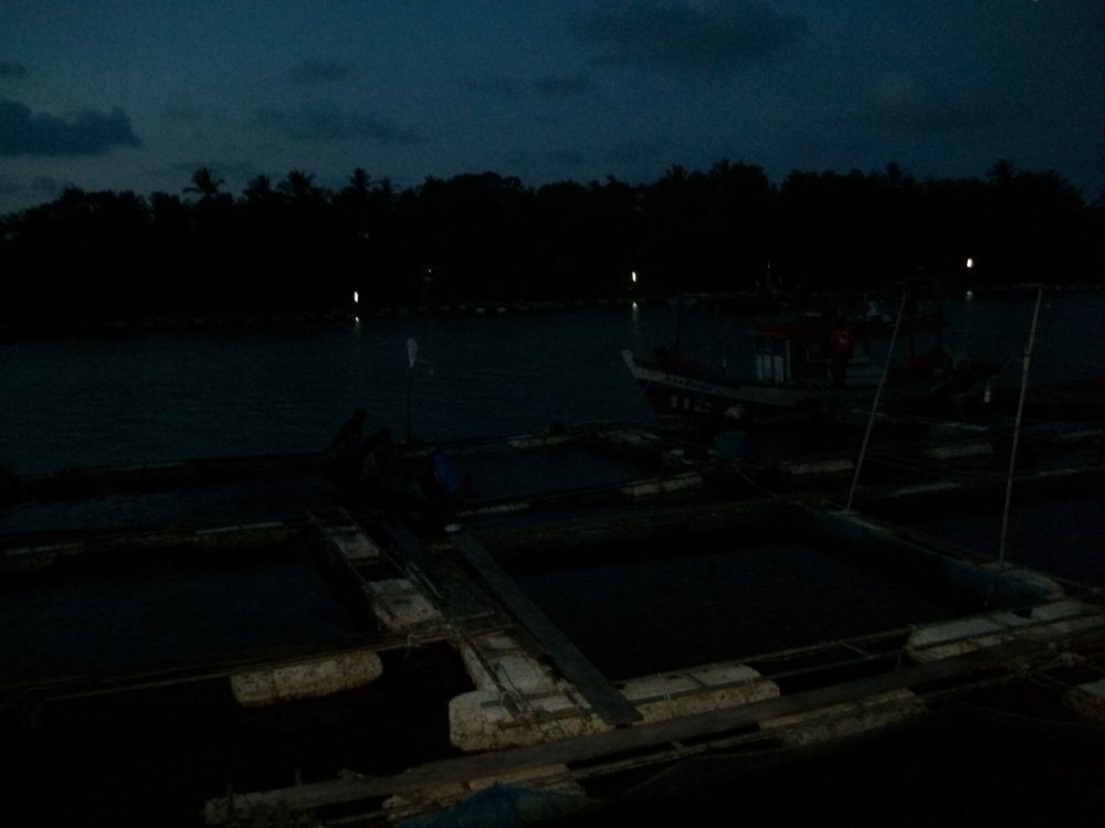 เดินถึงเมืองสายรอเรืออยู่พักใหญ่ ดูเขาคัดปลาในกระชังเพื่อเอาไปขายที่ท่าเรือ
                       