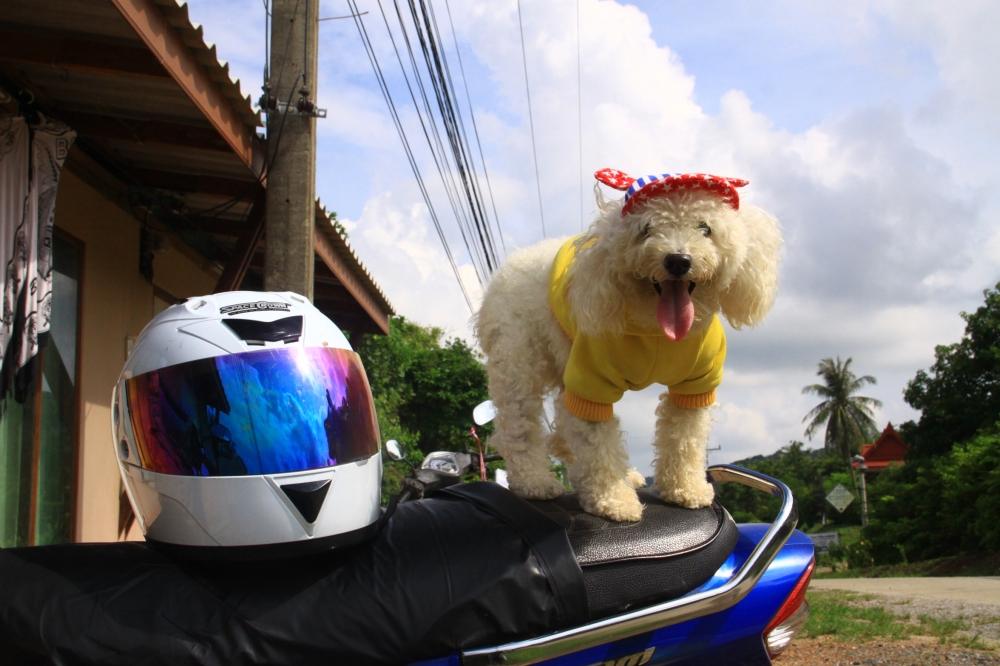 ++++ตามมาเชียร์คร้าฟฟฟฟฟฟฟฟฟฟฟฟฟฟ :cheer: :cheer: :cheer: :cheer: